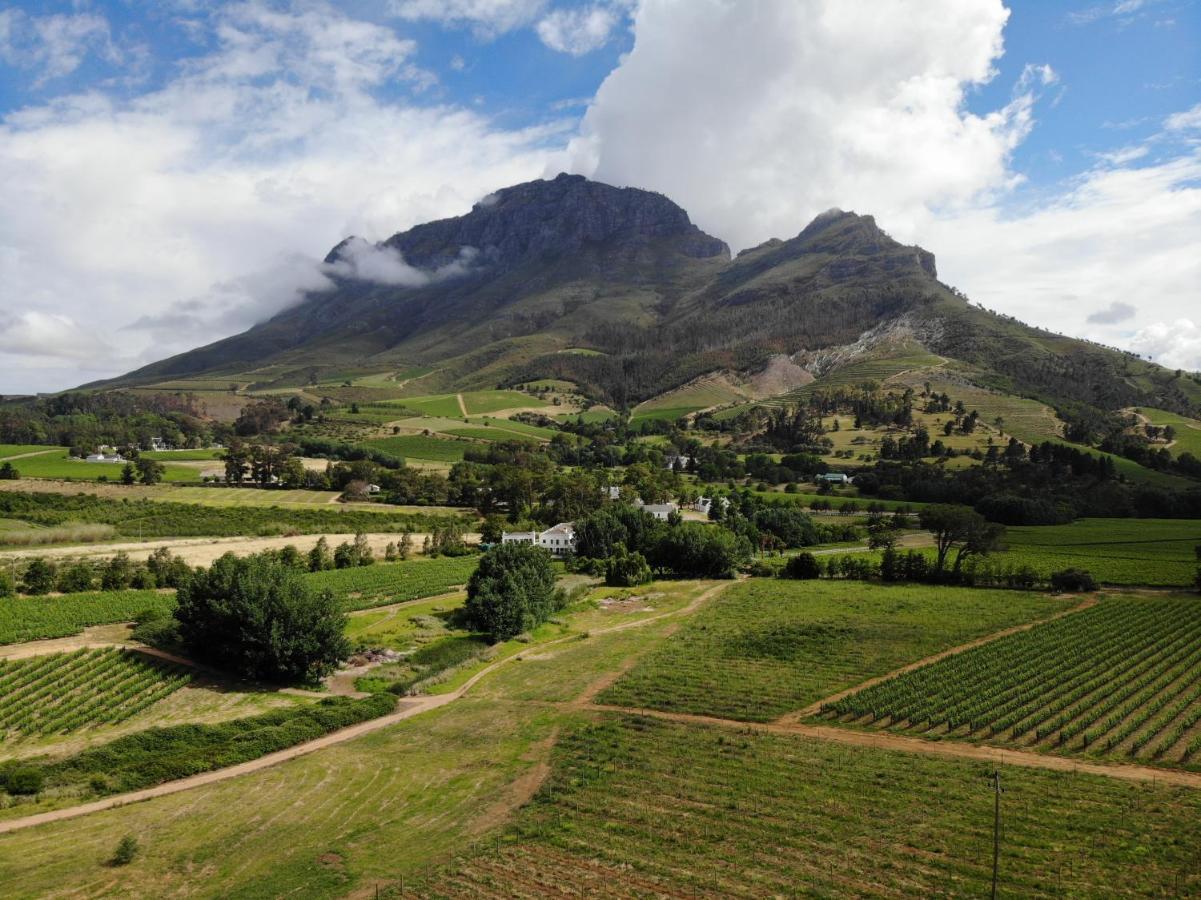 Vila Le Pommier Wine Estate Stellenbosch Exteriér fotografie