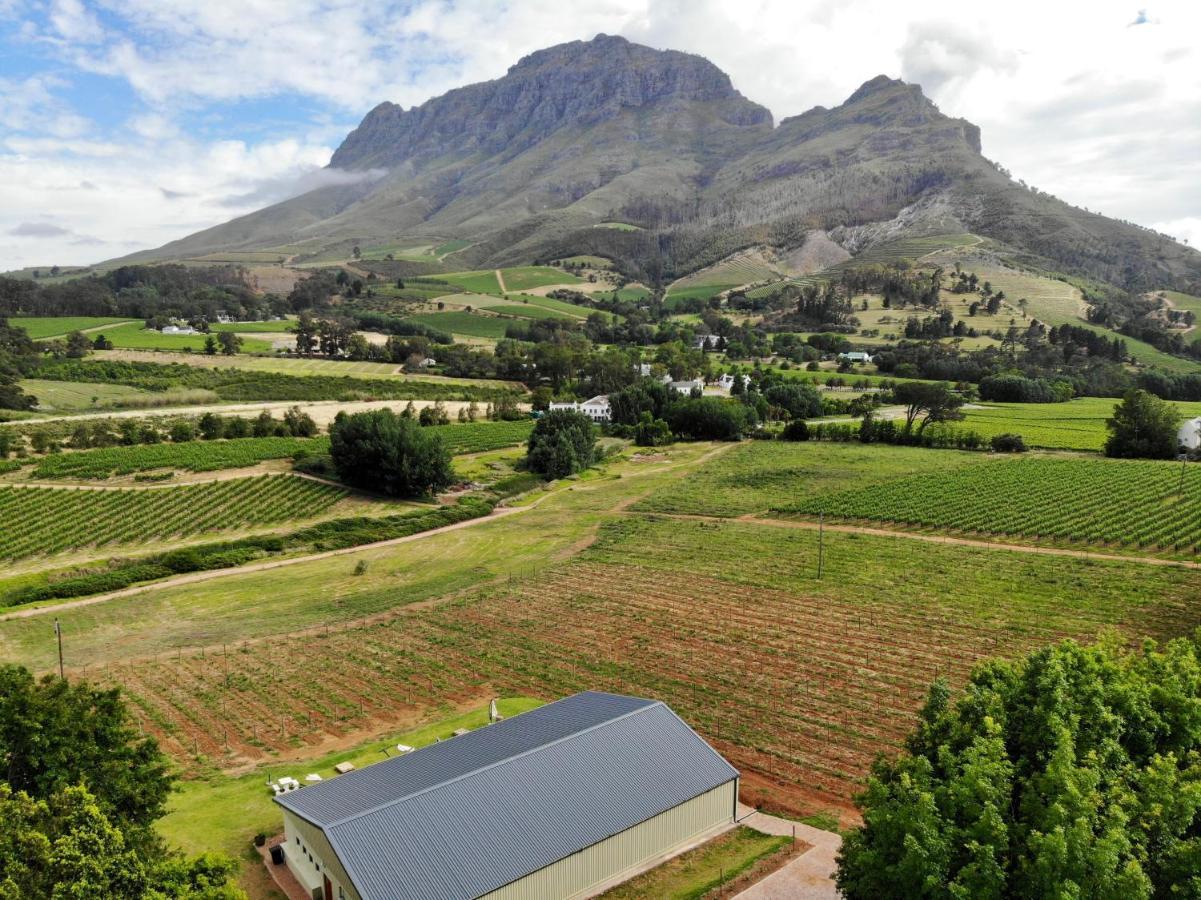 Vila Le Pommier Wine Estate Stellenbosch Exteriér fotografie
