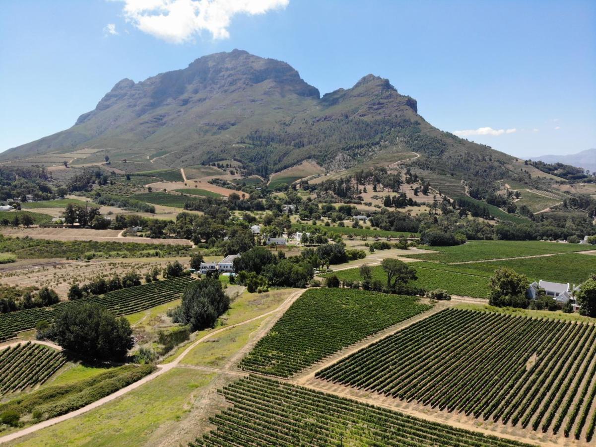 Vila Le Pommier Wine Estate Stellenbosch Exteriér fotografie