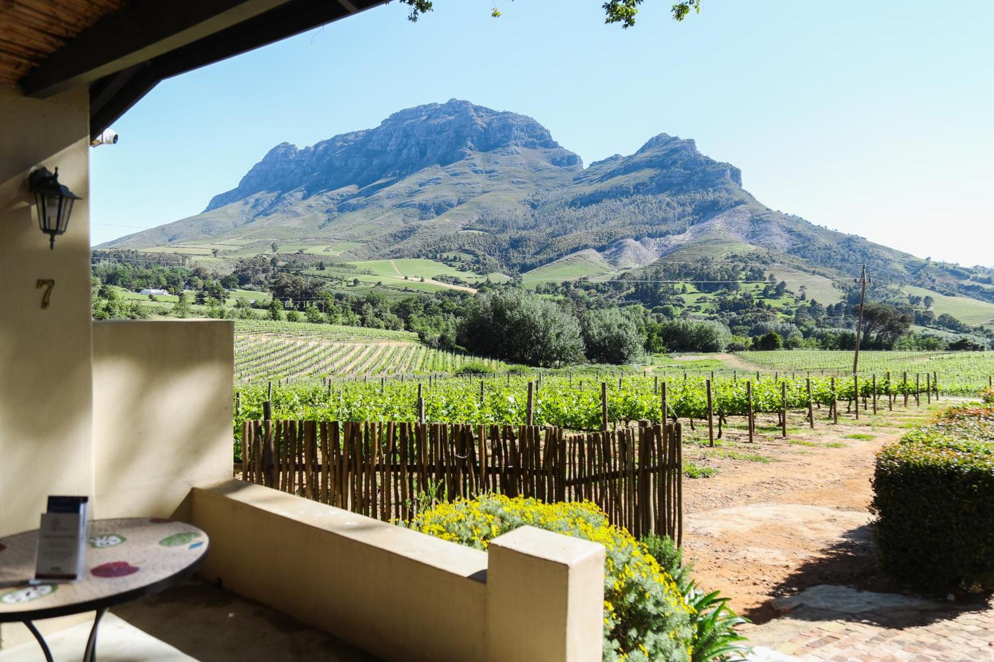 Vila Le Pommier Wine Estate Stellenbosch Exteriér fotografie