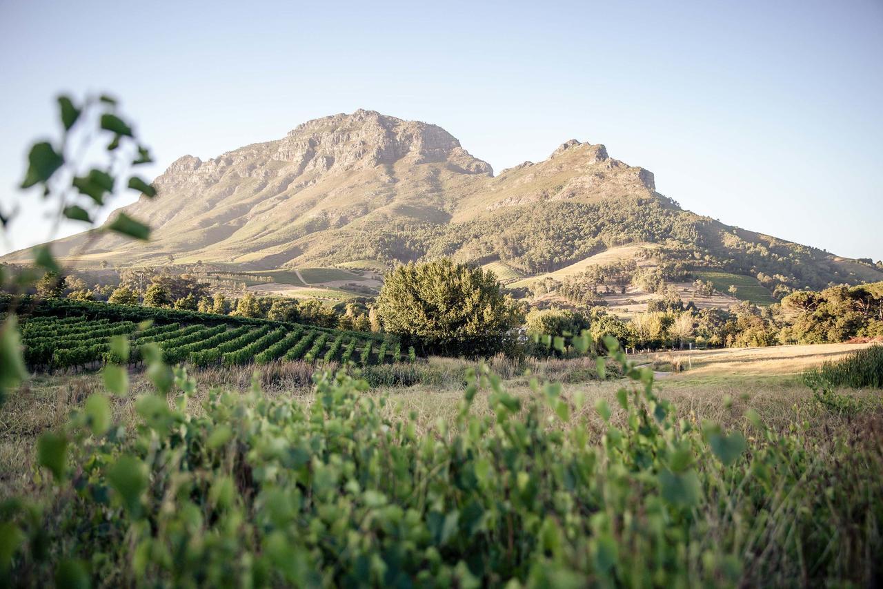 Vila Le Pommier Wine Estate Stellenbosch Exteriér fotografie